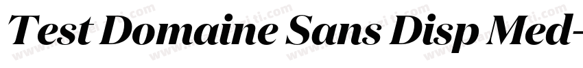 Test Domaine Sans Disp Med字体转换